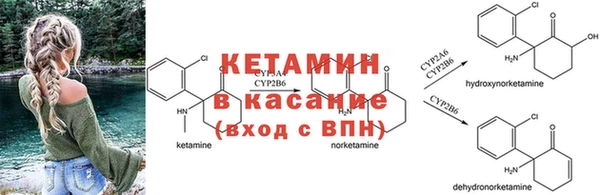 ПСИЛОЦИБИНОВЫЕ ГРИБЫ Гусиноозёрск