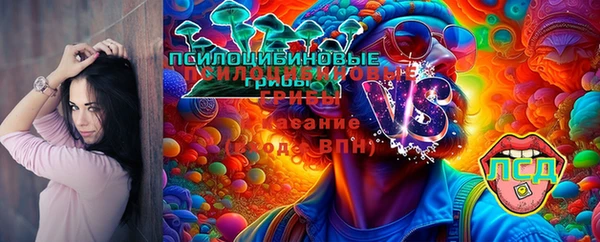 твердый Анжеро-Судженск