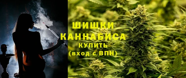 метадон Анива