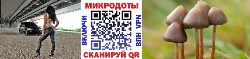 магазин  наркотиков  Ивангород  Галлюциногенные грибы GOLDEN TEACHER 